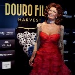 Douro Film Harvest